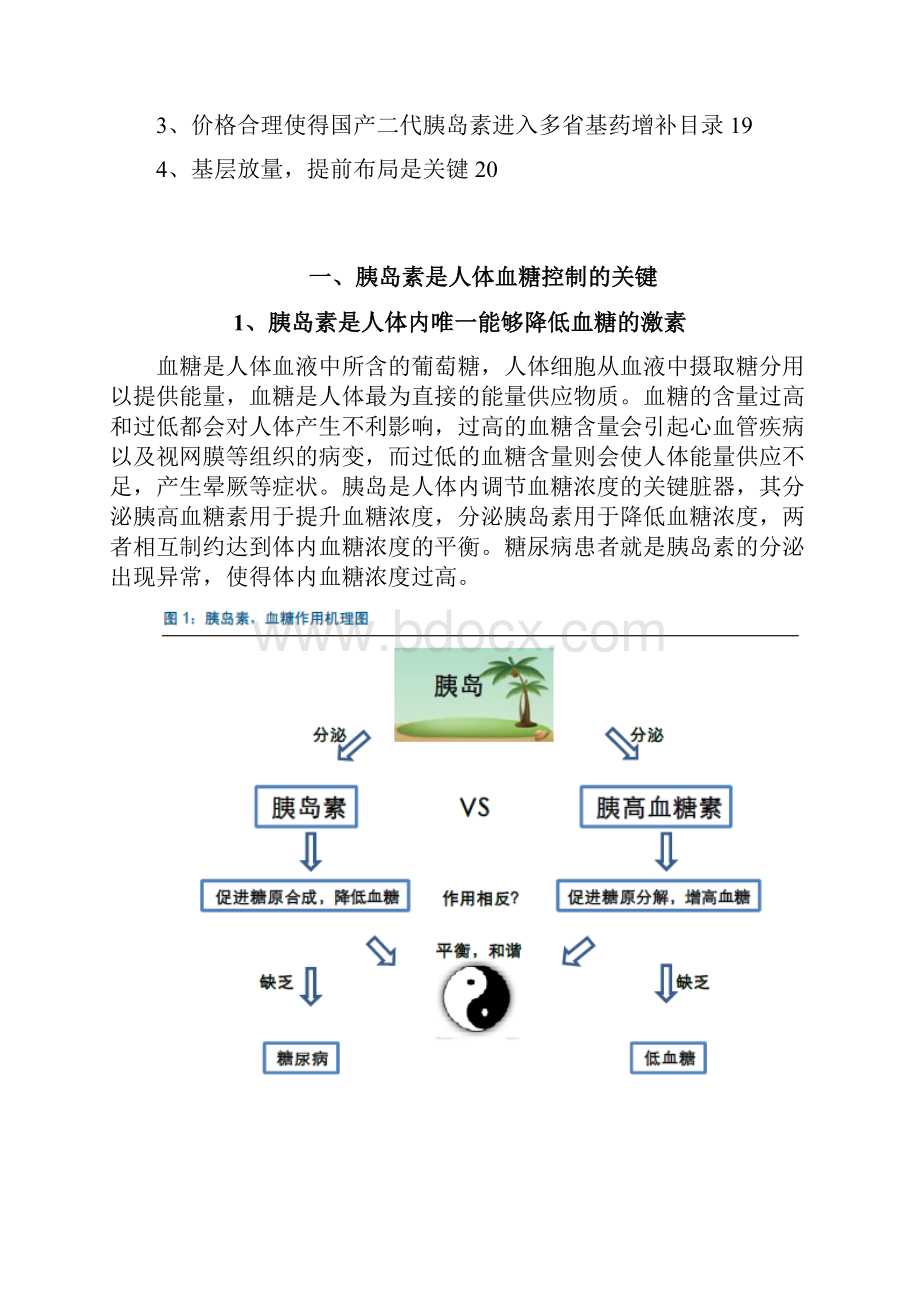 胰岛素行业分析报告.docx_第2页