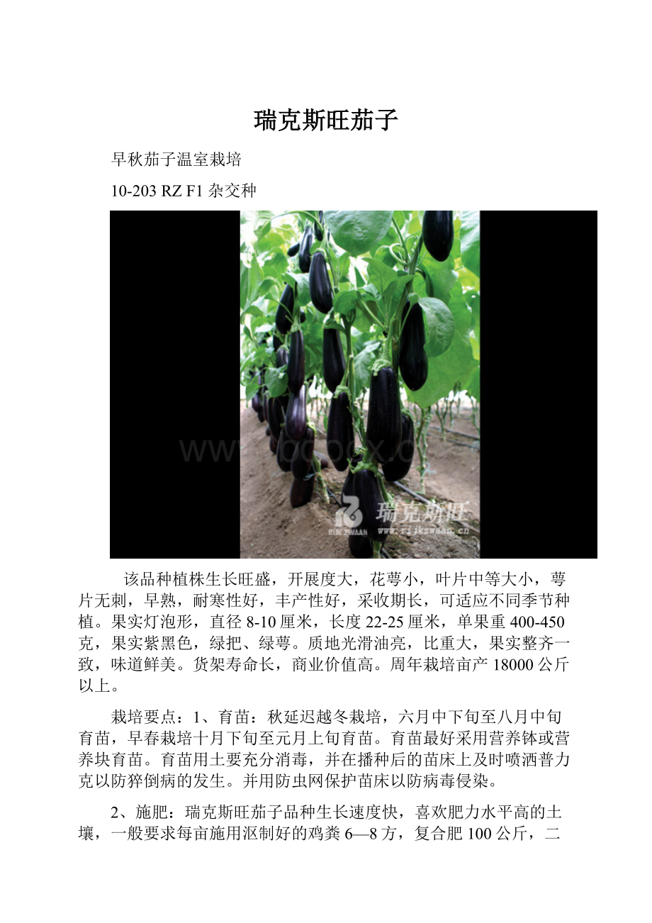 瑞克斯旺茄子.docx