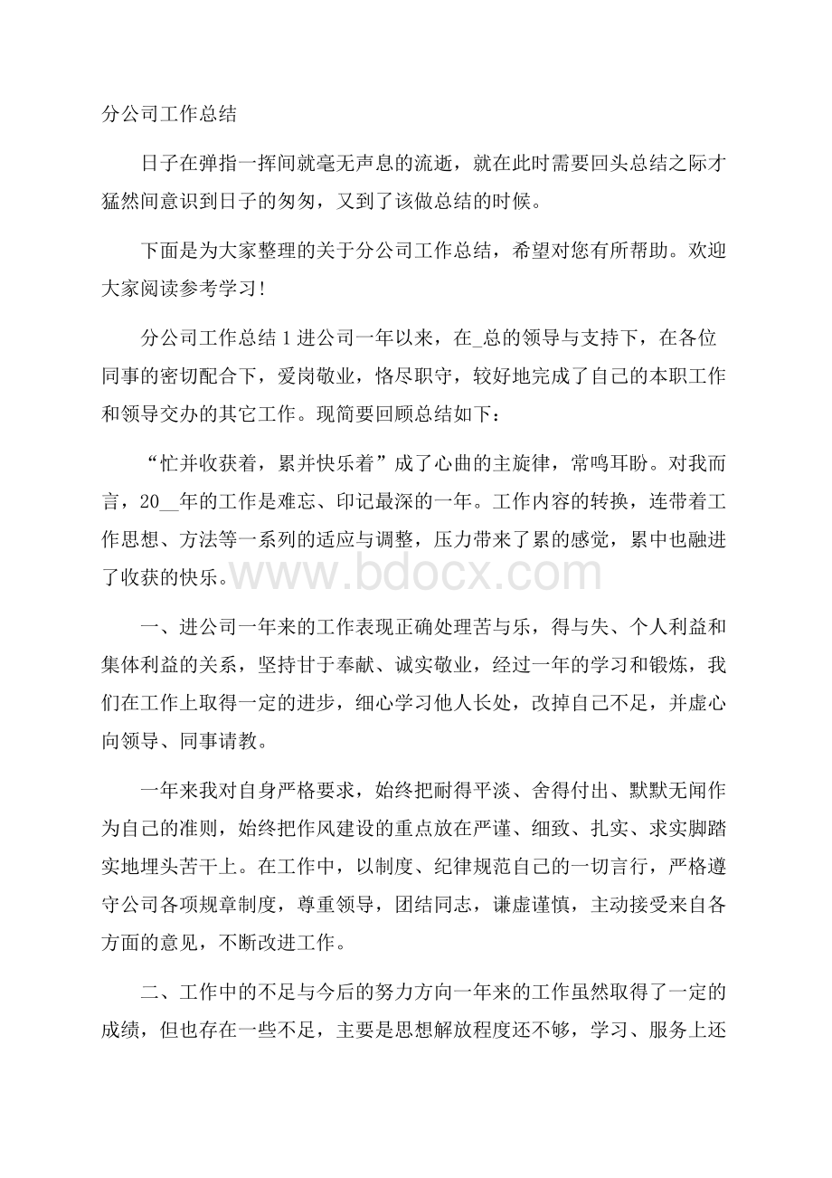 分公司工作总结.docx