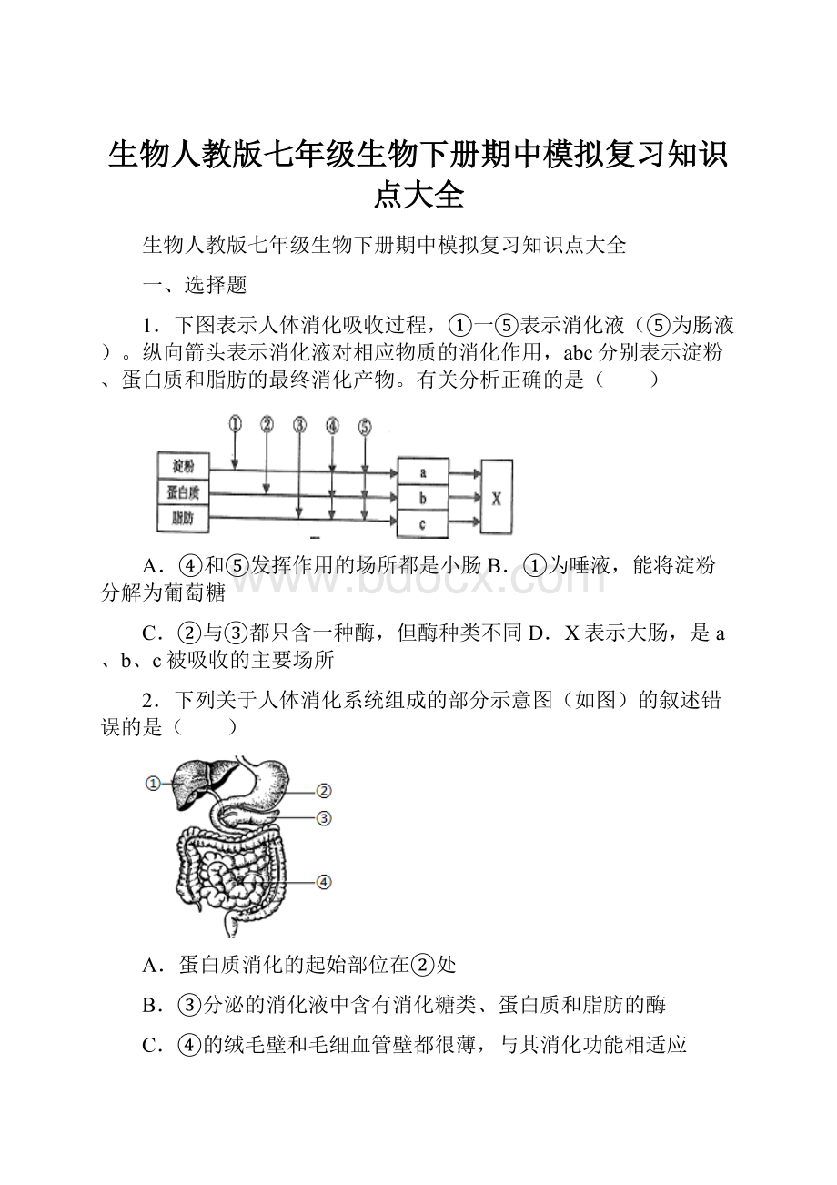 生物人教版七年级生物下册期中模拟复习知识点大全.docx