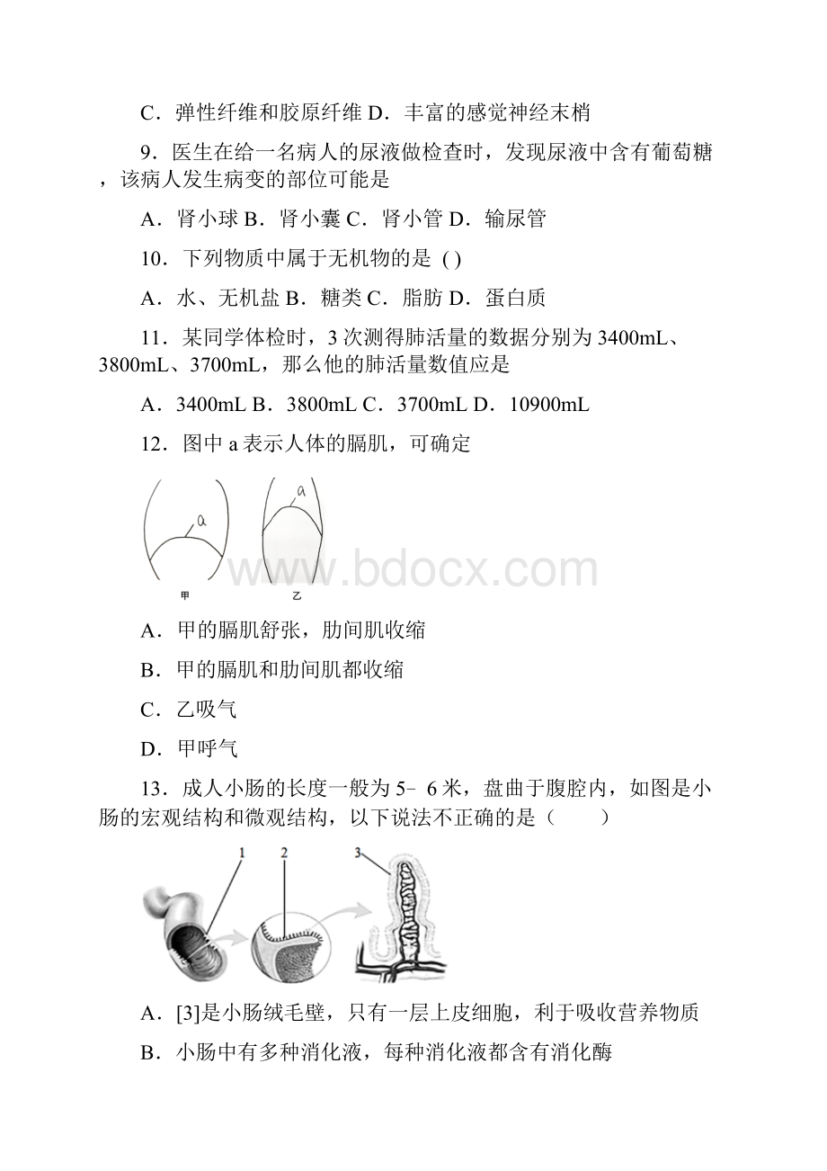 生物人教版七年级生物下册期中模拟复习知识点大全.docx_第3页