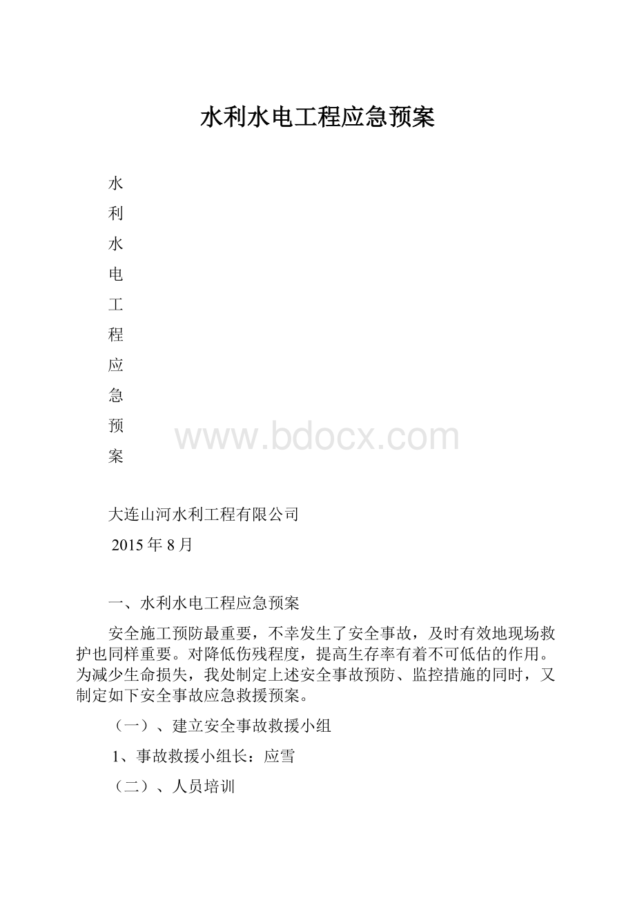 水利水电工程应急预案.docx