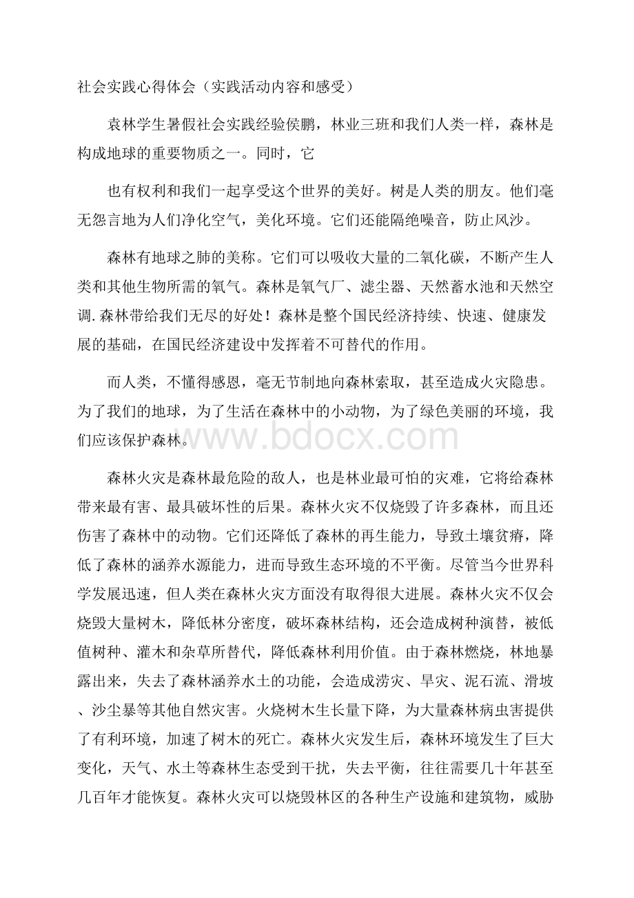 社会实践心得体会(实践活动内容和感受).docx