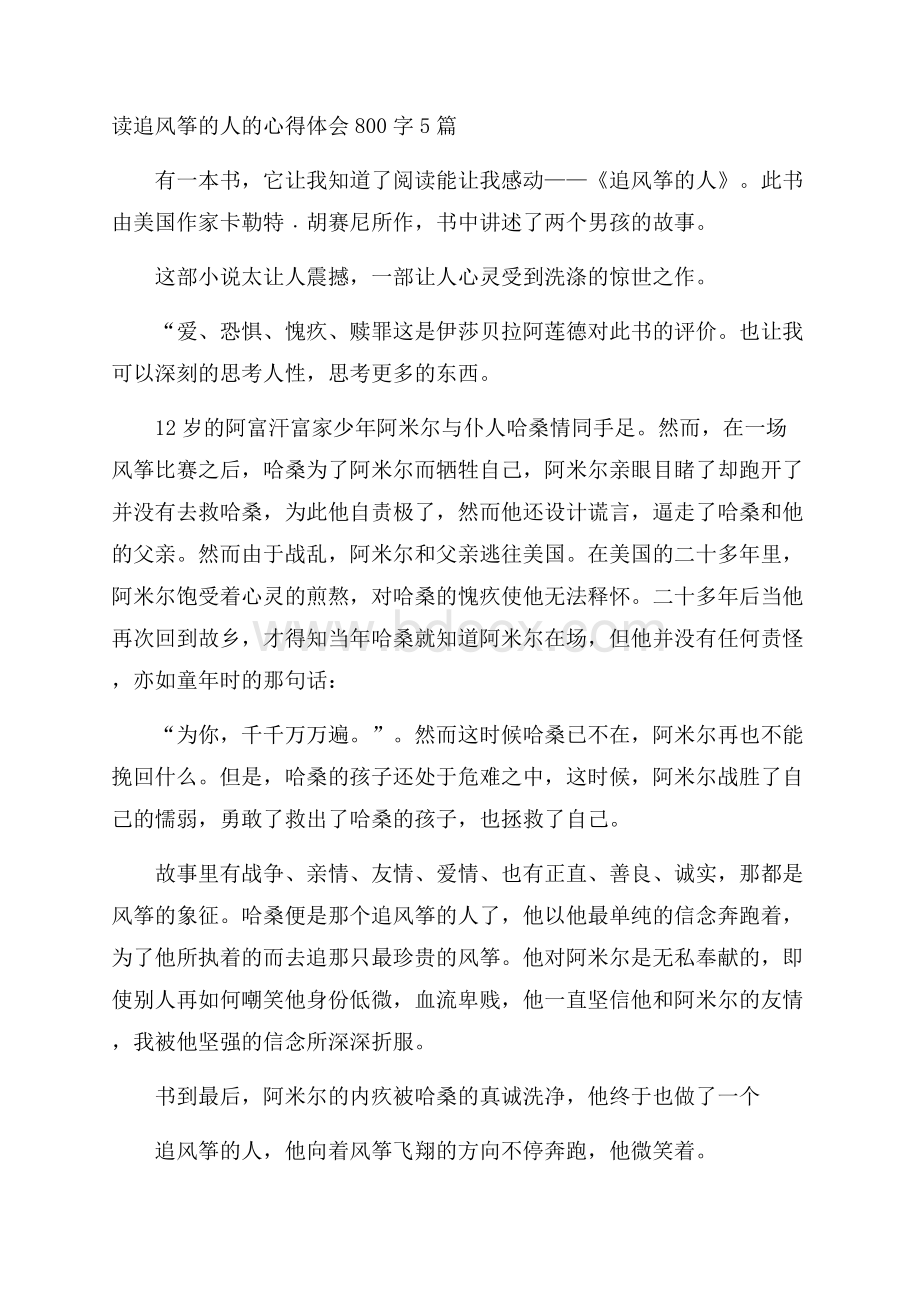 读追风筝的人的心得体会800字5篇.docx