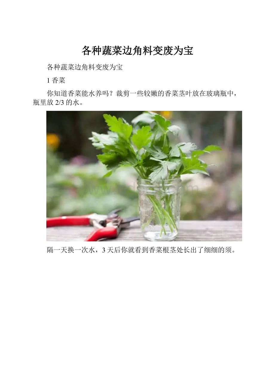 各种蔬菜边角料变废为宝.docx