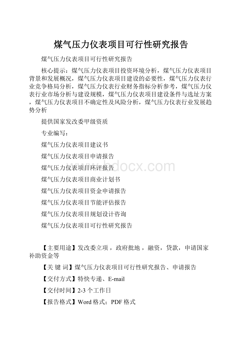 煤气压力仪表项目可行性研究报告.docx