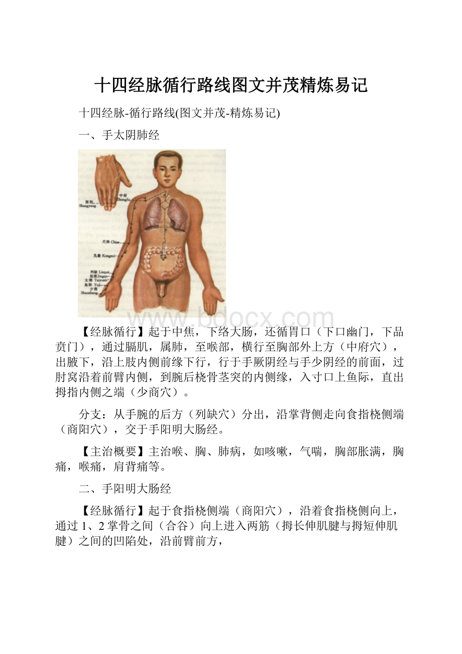 十四经脉循行路线图文并茂精炼易记.docx