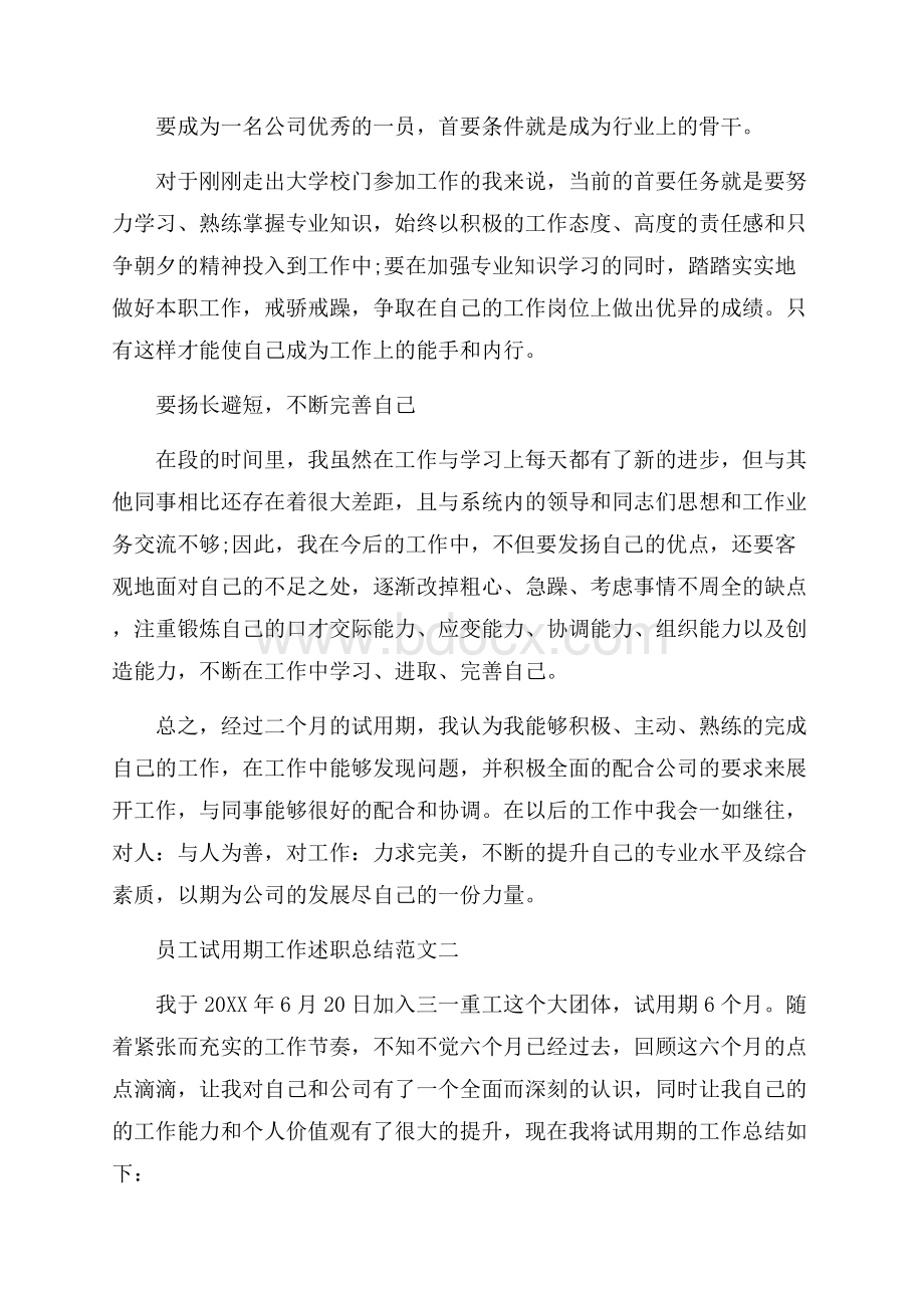 员工试用期工作述职总结范文.docx_第3页