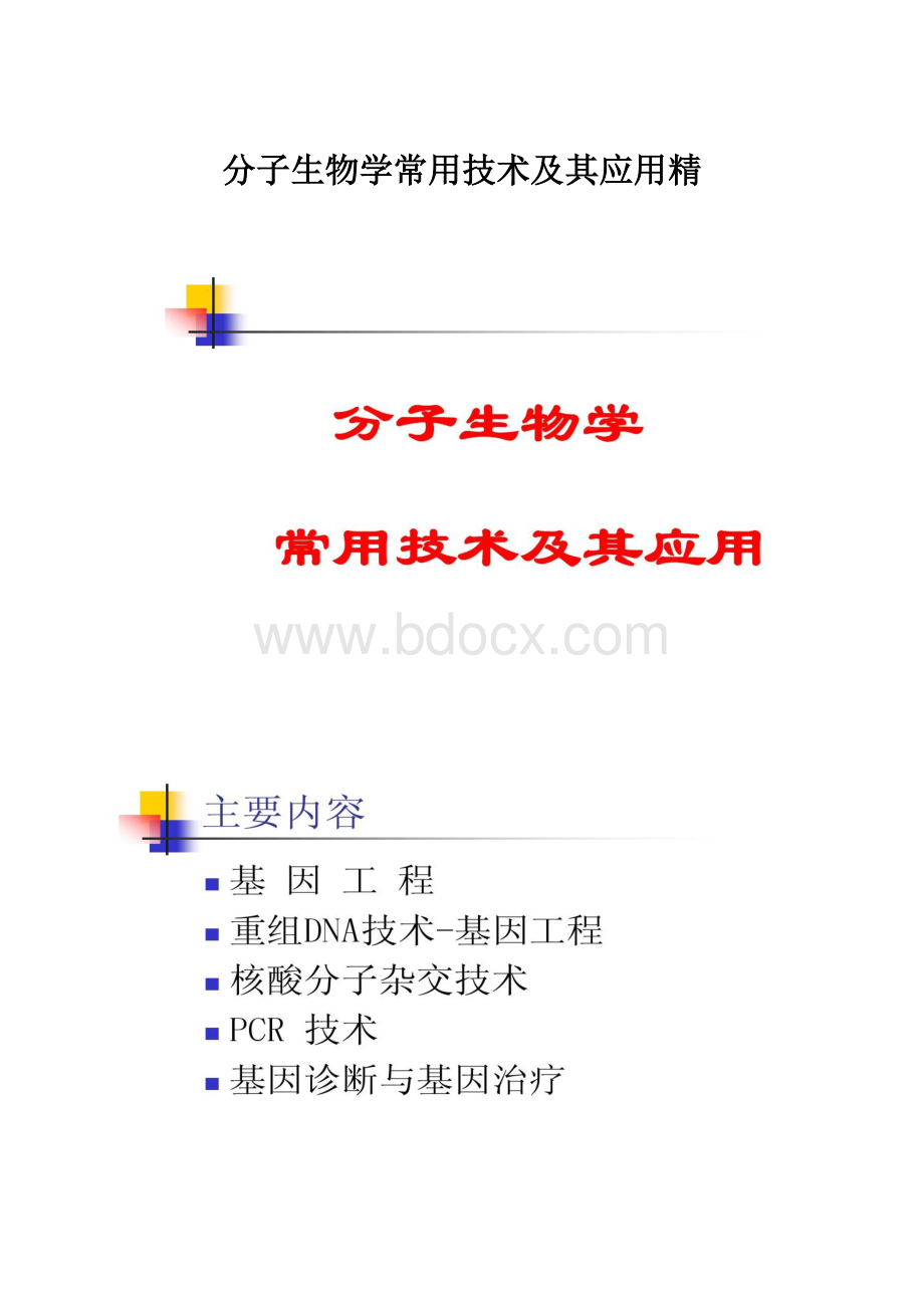 分子生物学常用技术及其应用精.docx_第1页