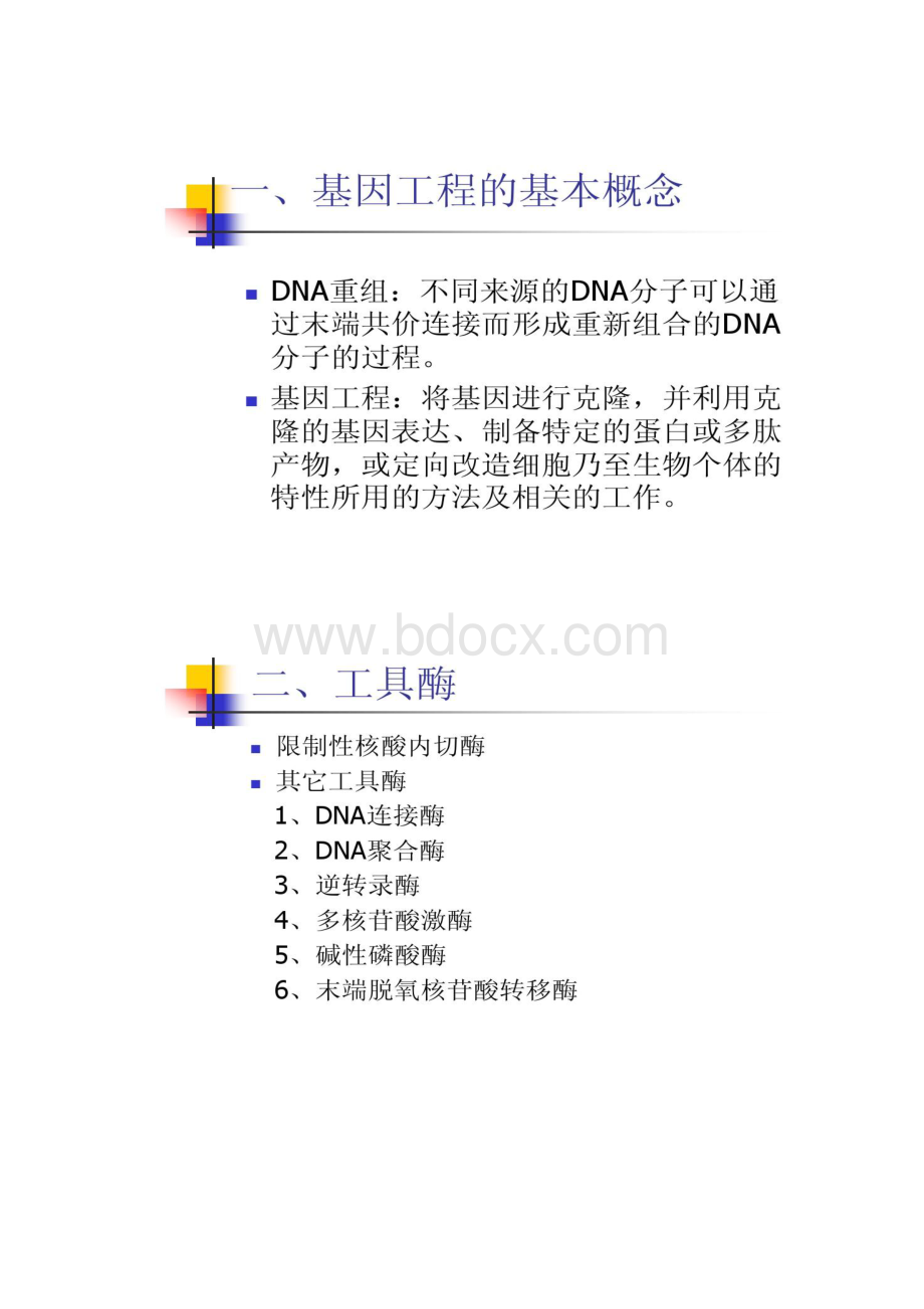 分子生物学常用技术及其应用精.docx_第3页