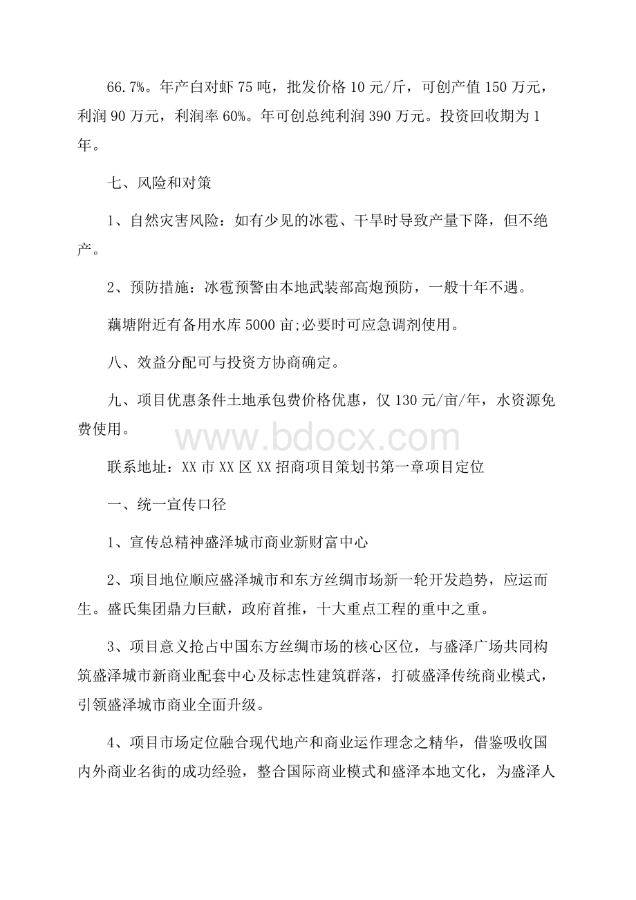 招商项目策划书.docx_第2页