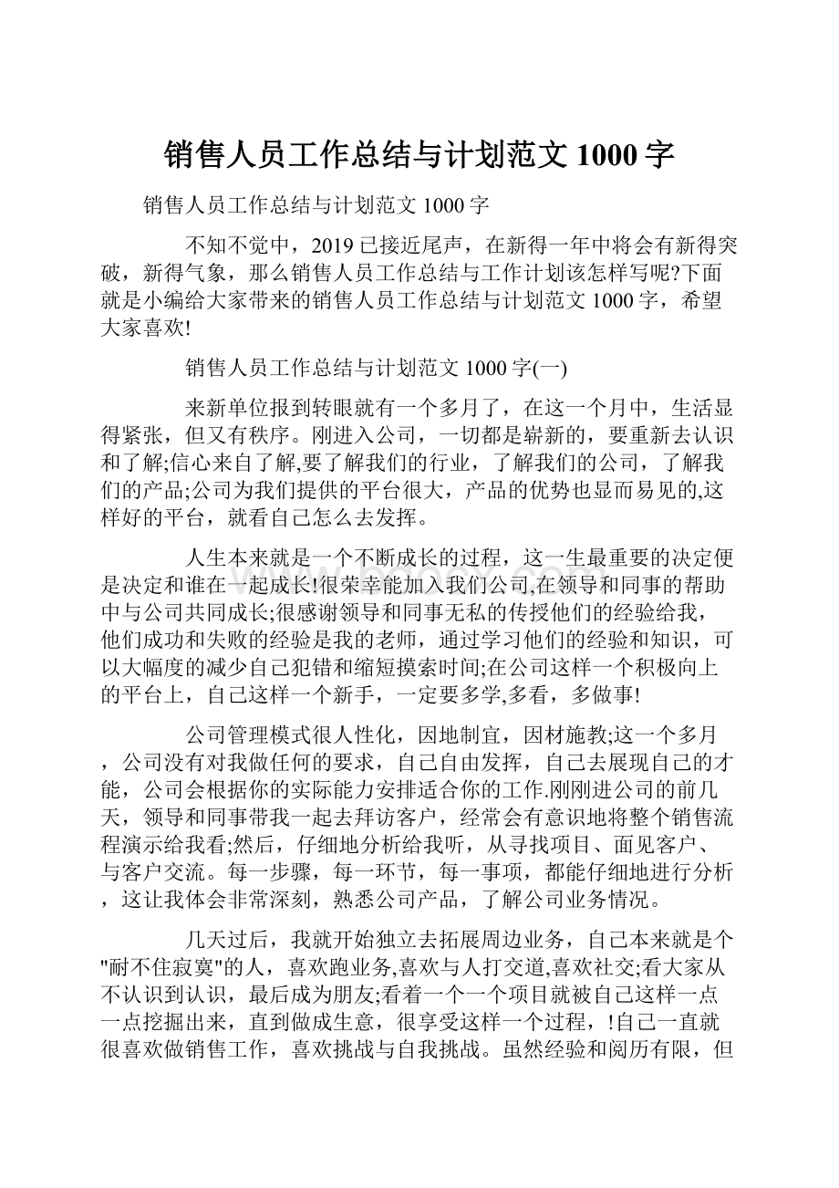 销售人员工作总结与计划范文1000字.docx_第1页