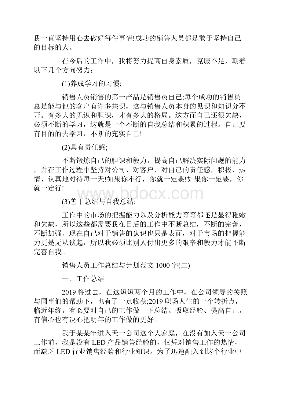 销售人员工作总结与计划范文1000字.docx_第2页