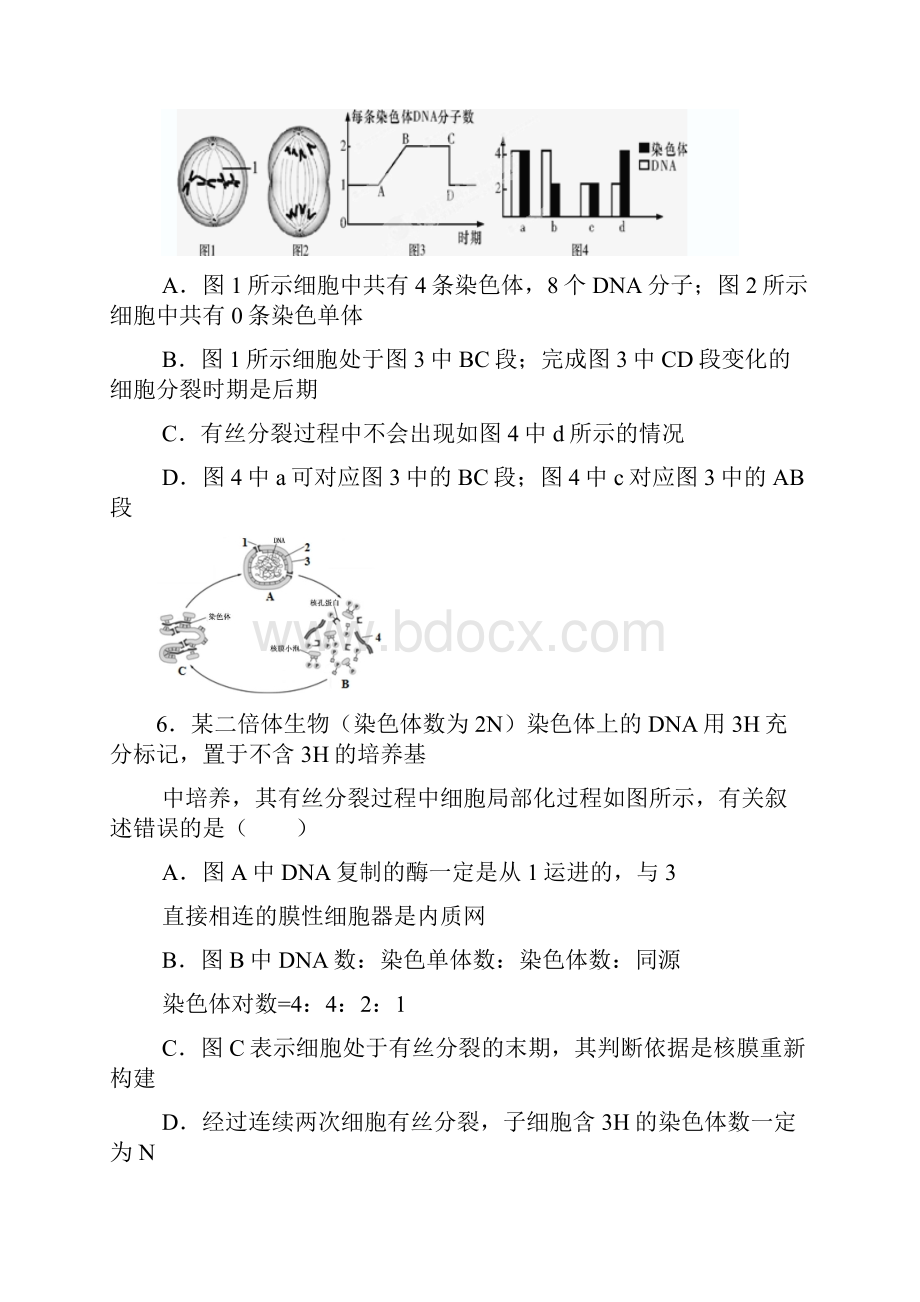 四川省成都市龙泉第二中学届高三一诊生物考试.docx_第3页