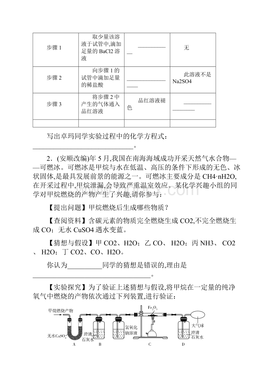 中考化学总复习专题四科学探究课时练习.docx_第2页