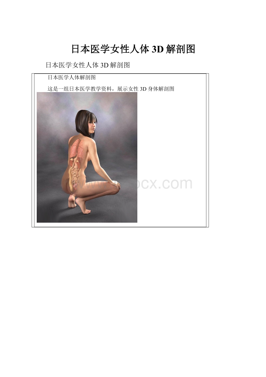 日本医学女性人体3D解剖图.docx