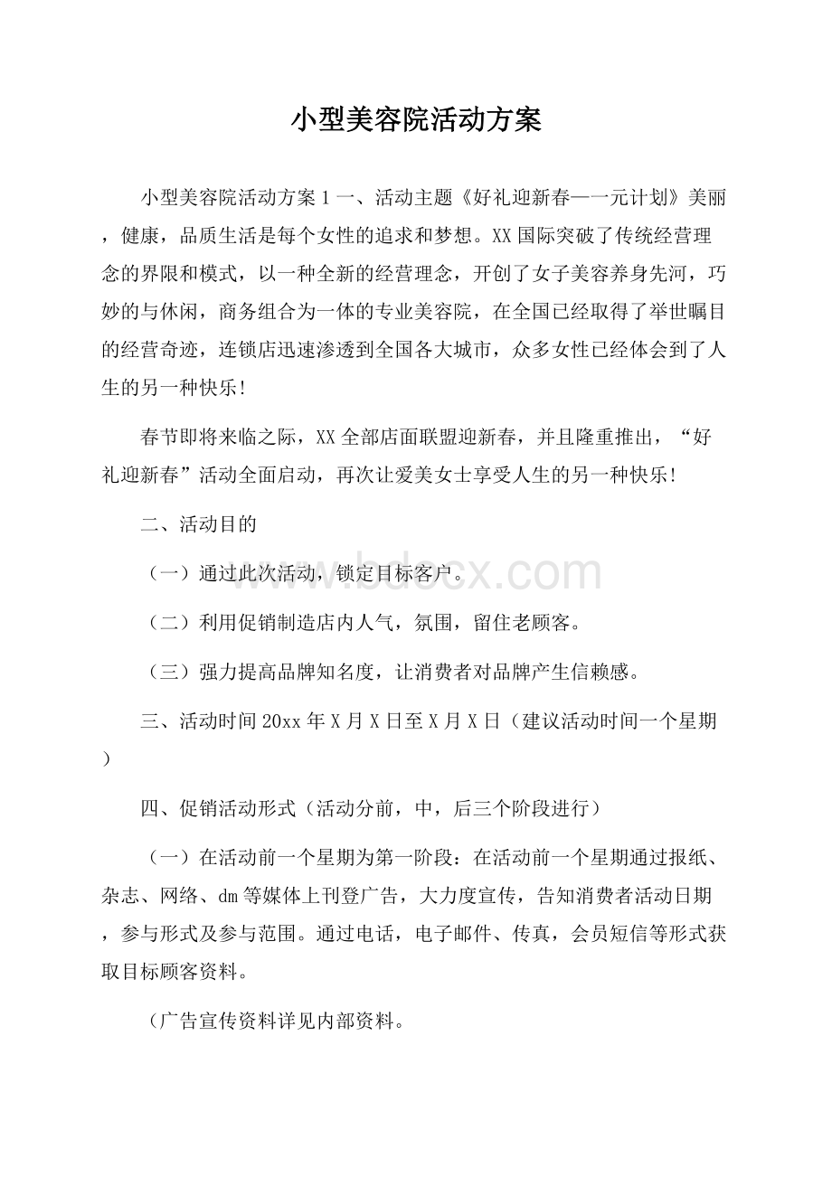 小型美容院活动方案.docx_第1页