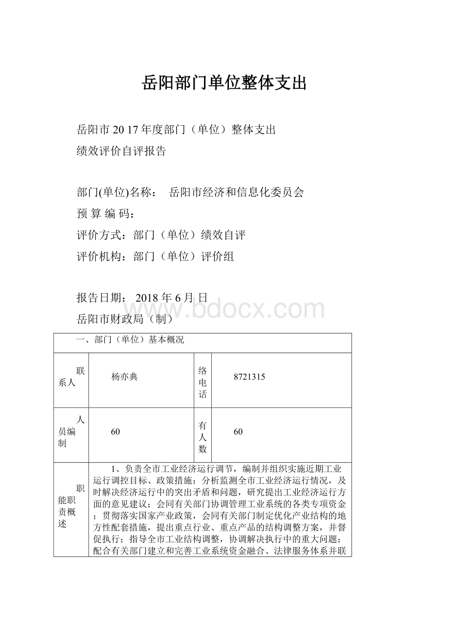 岳阳部门单位整体支出.docx