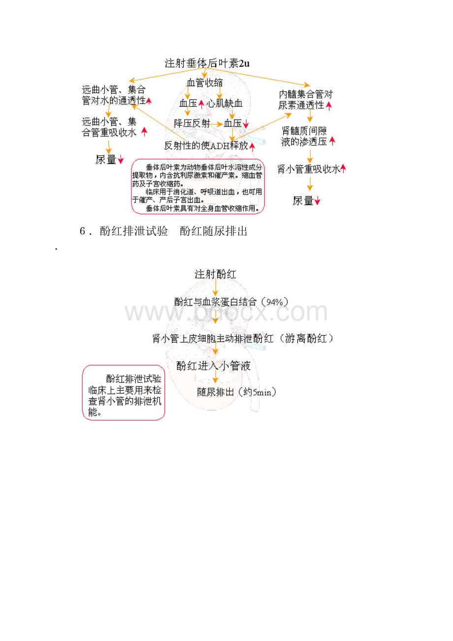 人解实验.docx_第3页