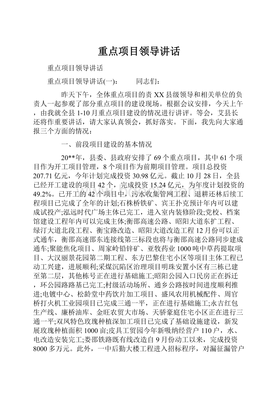 重点项目领导讲话.docx