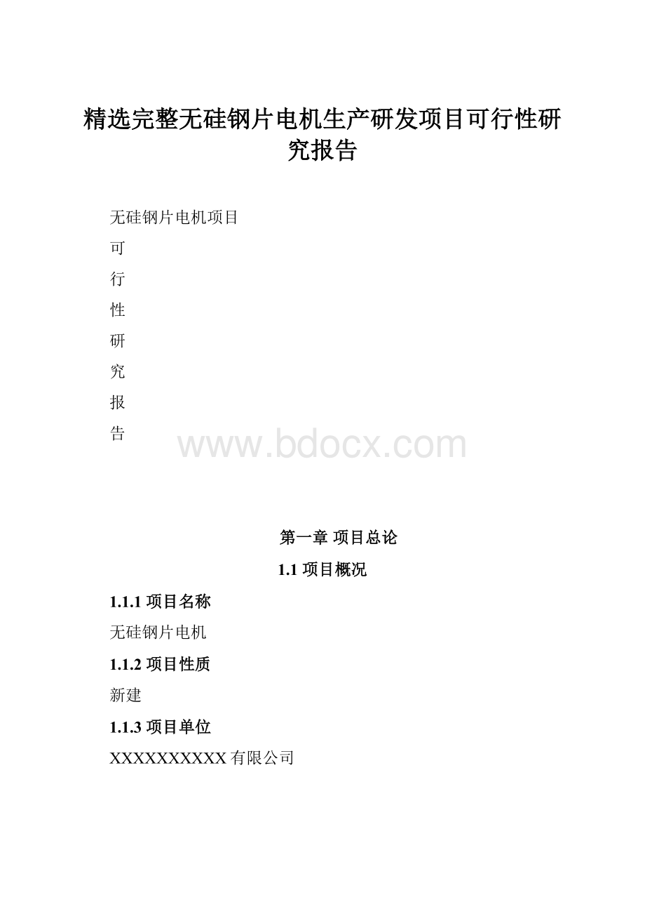 精选完整无硅钢片电机生产研发项目可行性研究报告.docx