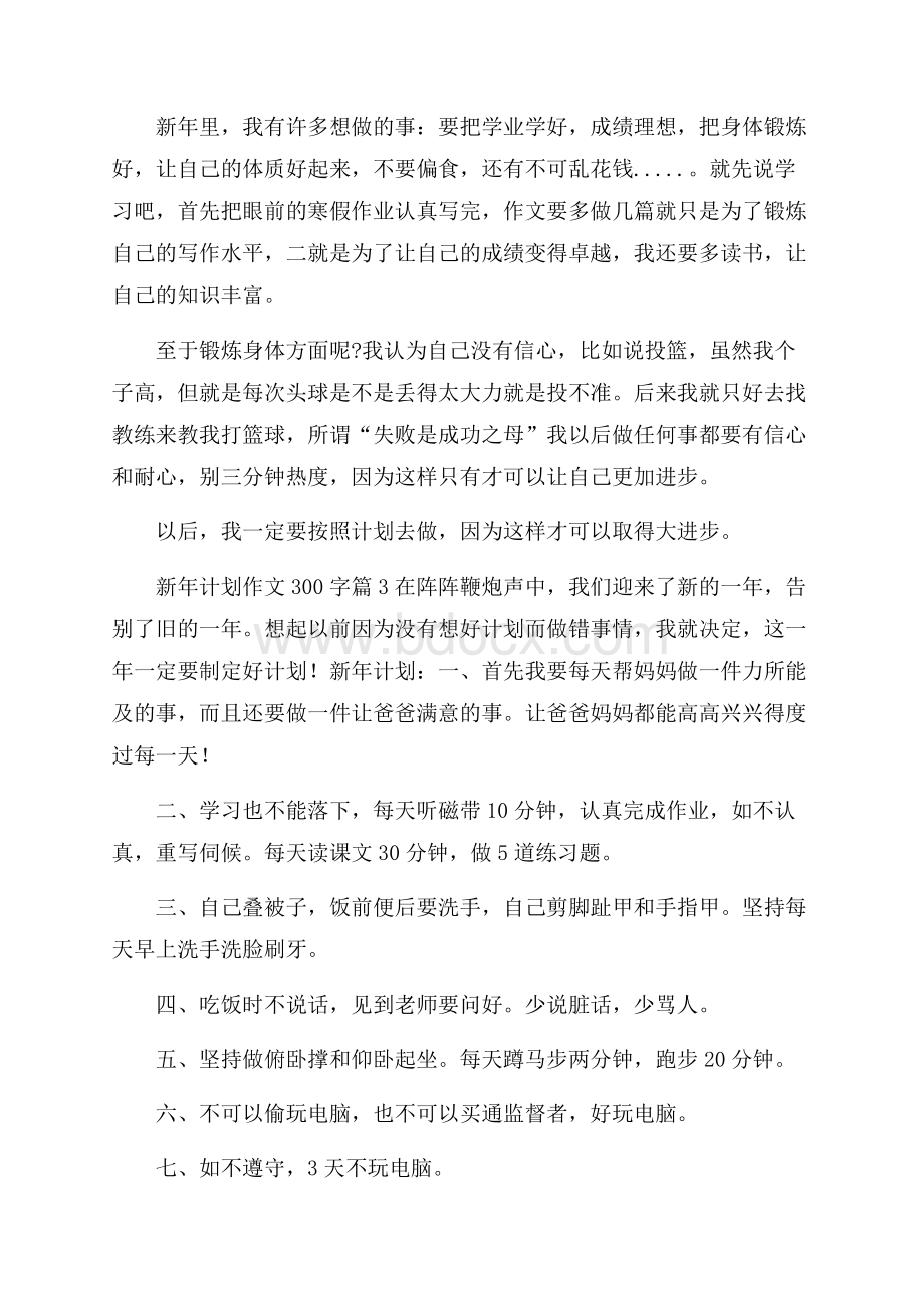 精选新年计划作文300字汇编三篇.docx_第2页