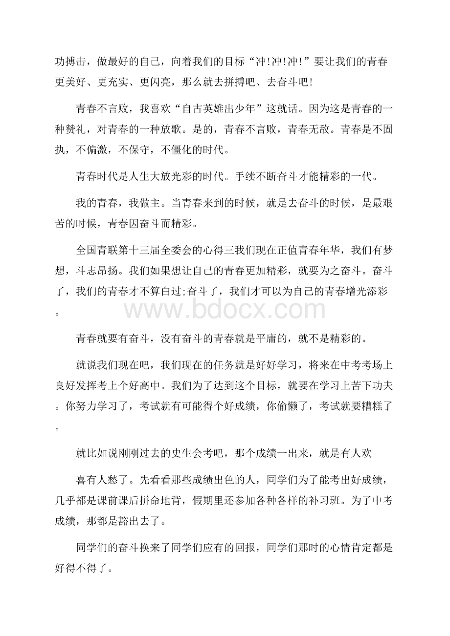 全国青联第十三届全委会的心得体会范文5篇.docx_第3页