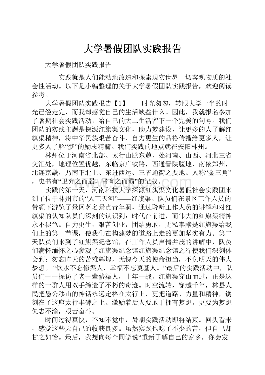 大学暑假团队实践报告.docx