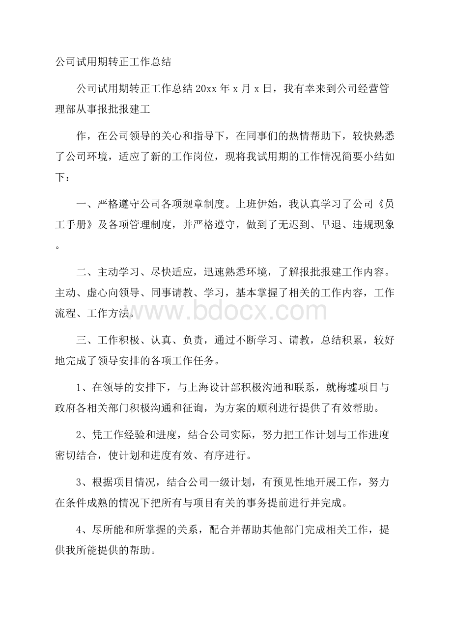 公司试用期转正工作总结.docx