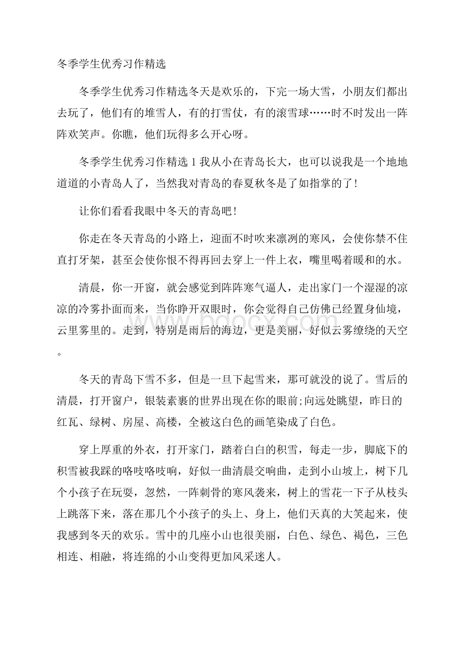 冬季学生优秀习作精选.docx