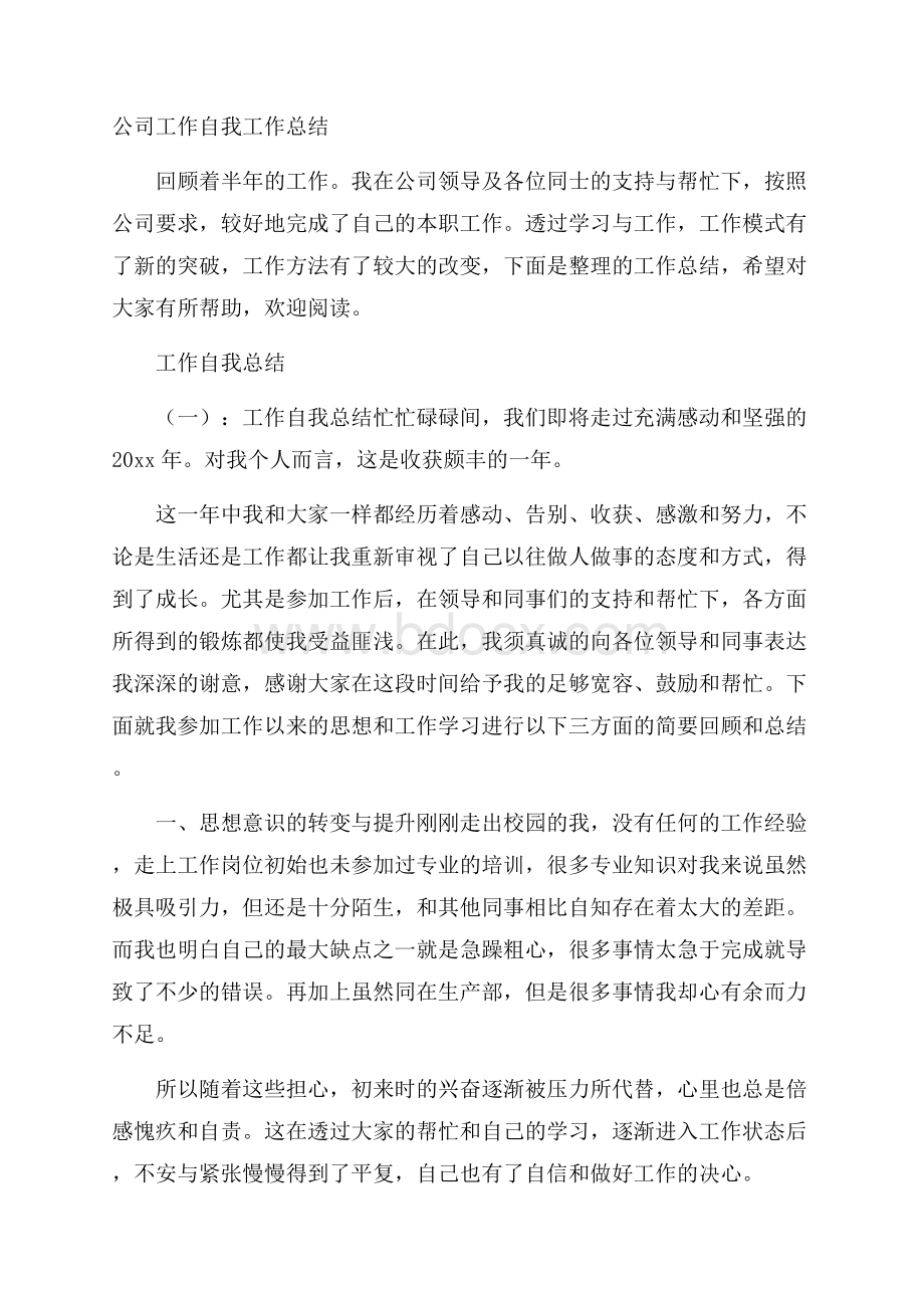 公司工作自我工作总结.docx_第1页