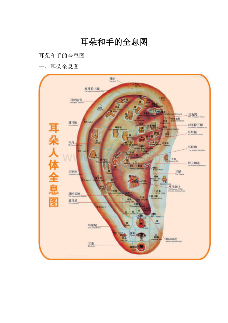 耳朵和手的全息图.docx