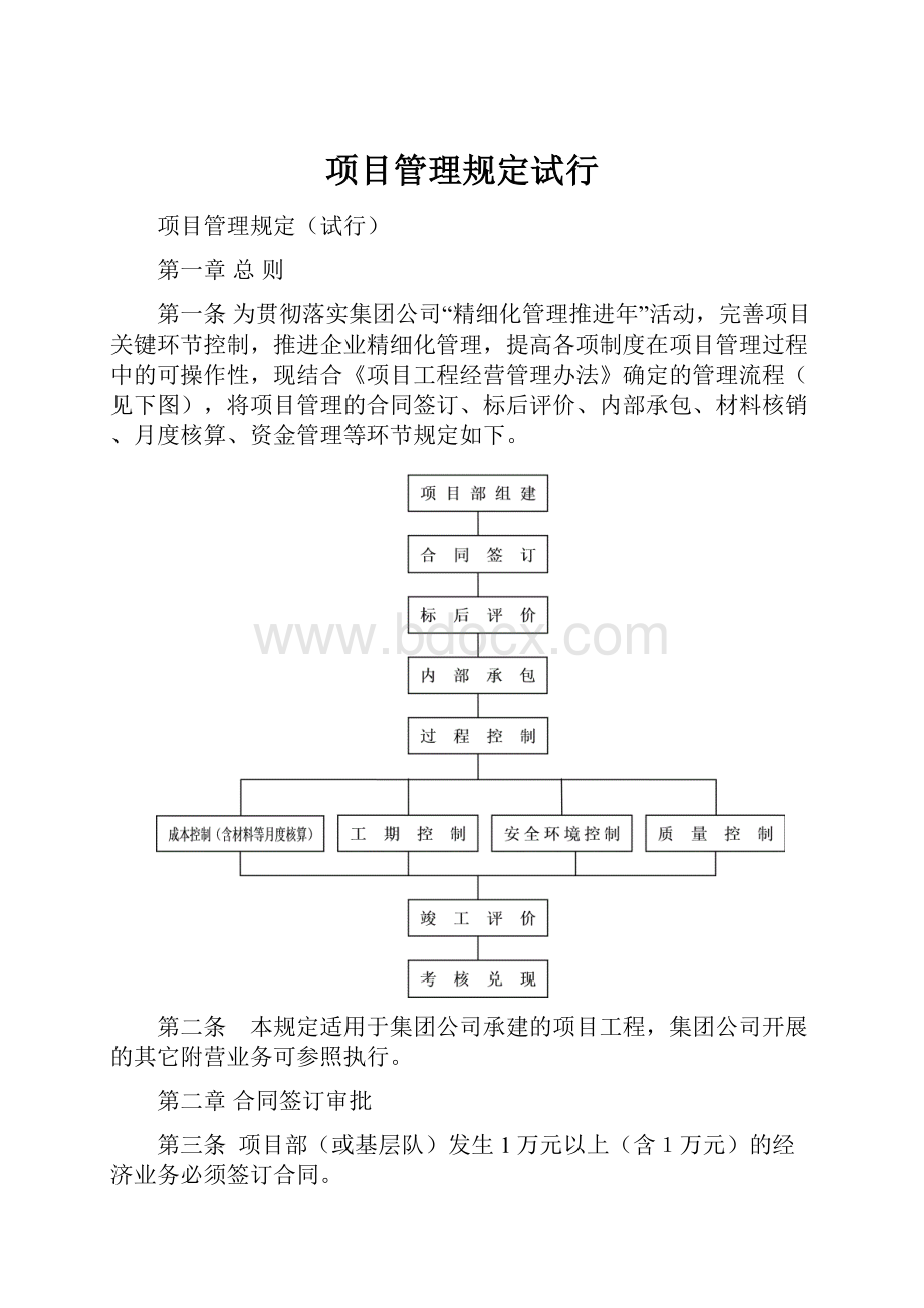 项目管理规定试行.docx