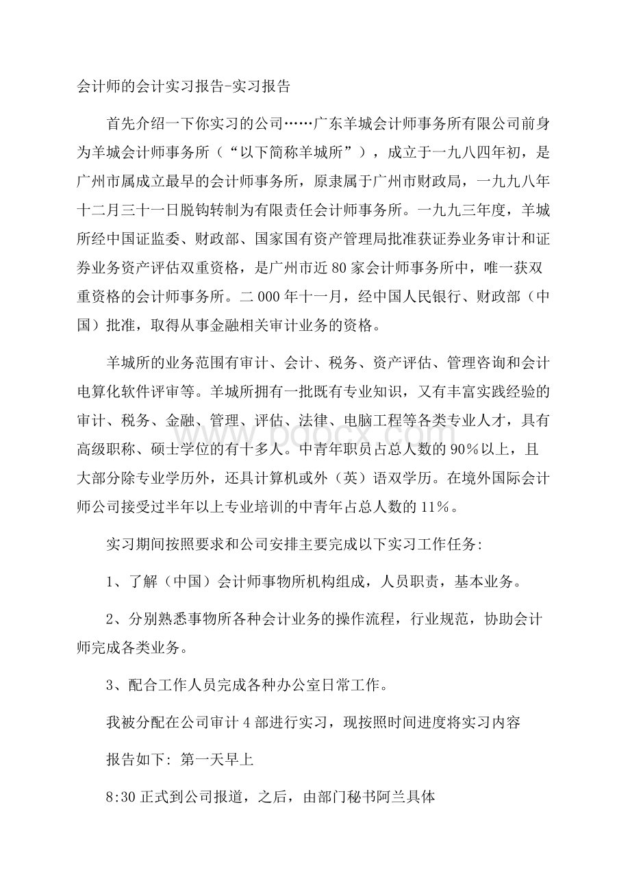 会计师的会计实习报告实习报告.docx