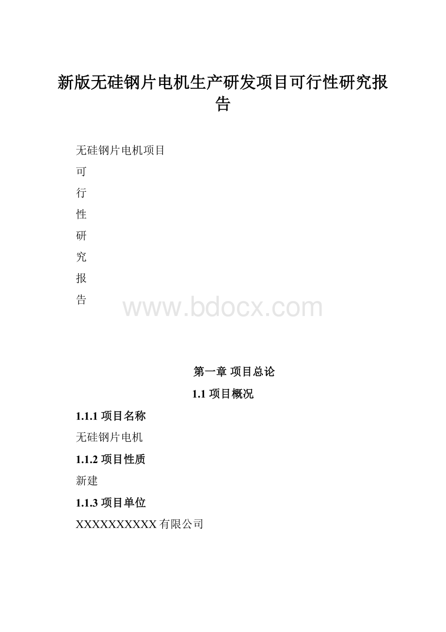 新版无硅钢片电机生产研发项目可行性研究报告.docx