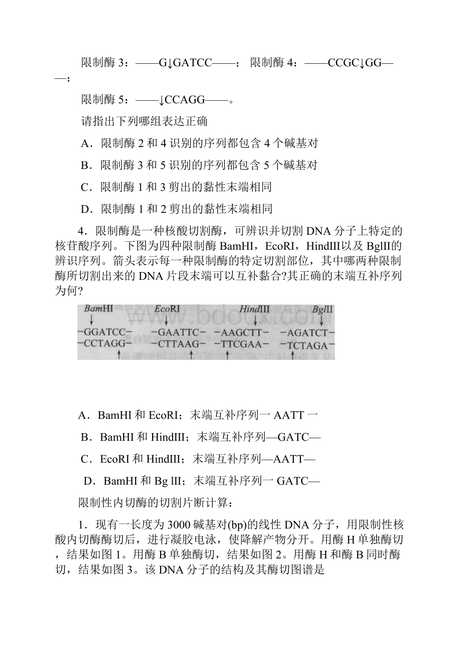 人教版高考生物一轮复习重点知识一题多变解题技巧和复习训练精品.docx_第2页