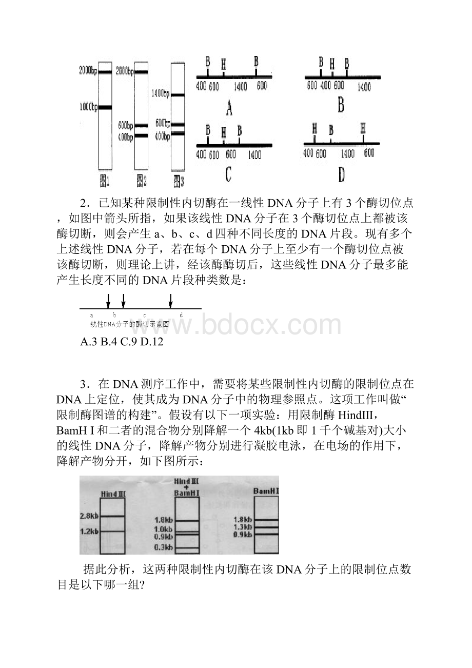 人教版高考生物一轮复习重点知识一题多变解题技巧和复习训练精品.docx_第3页