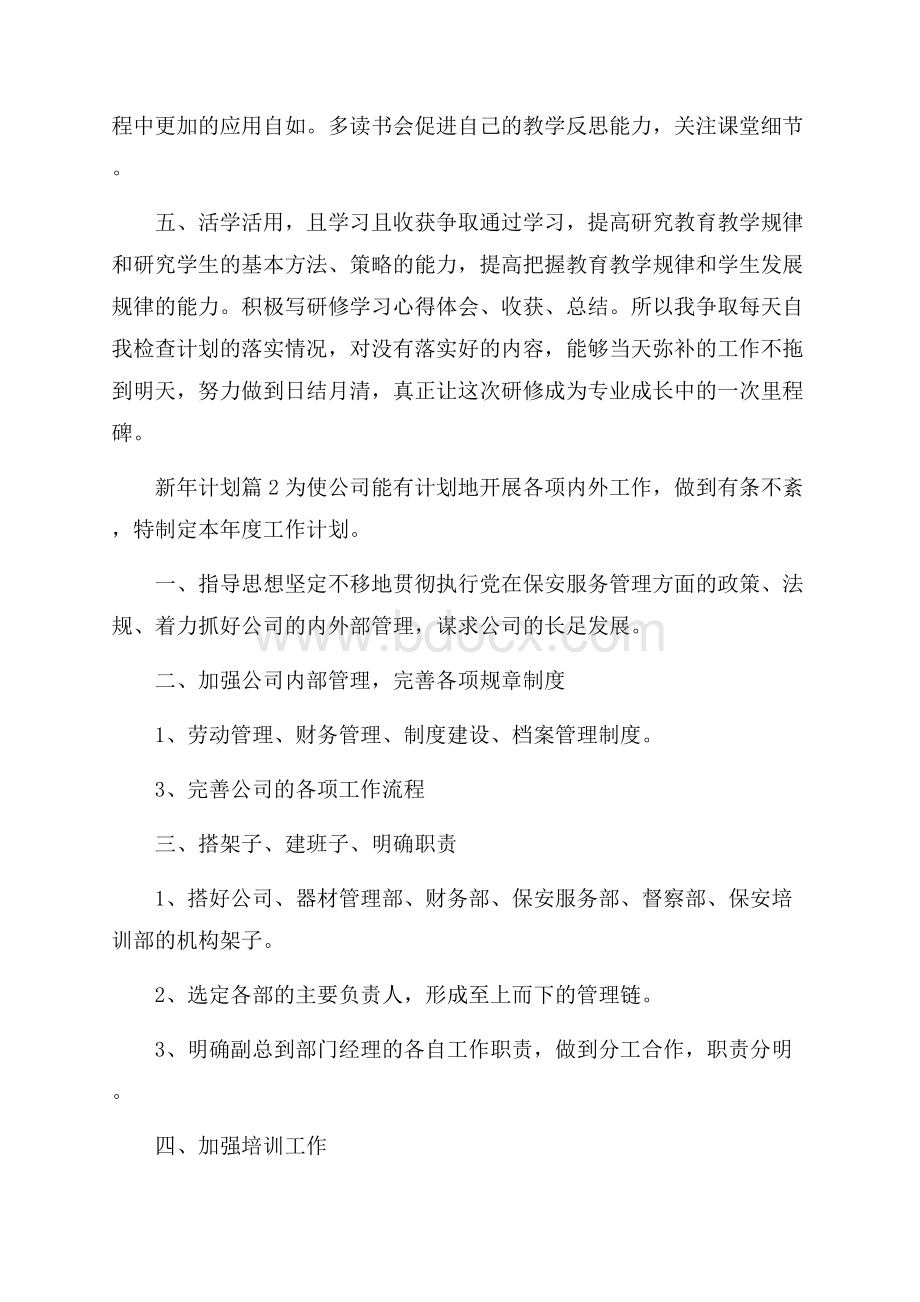 精品新年计划集锦4篇.docx_第2页