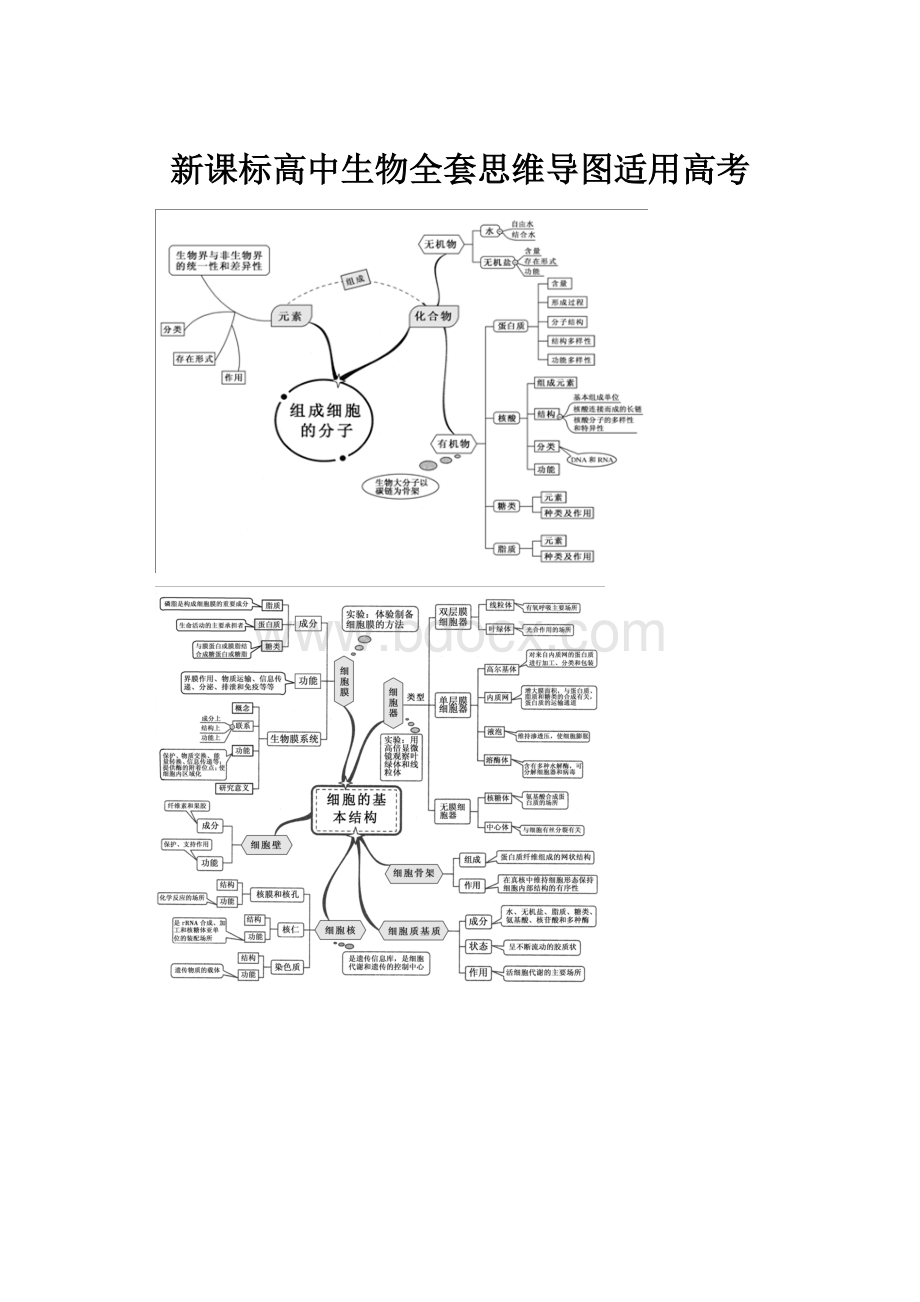 新课标高中生物全套思维导图适用高考.docx