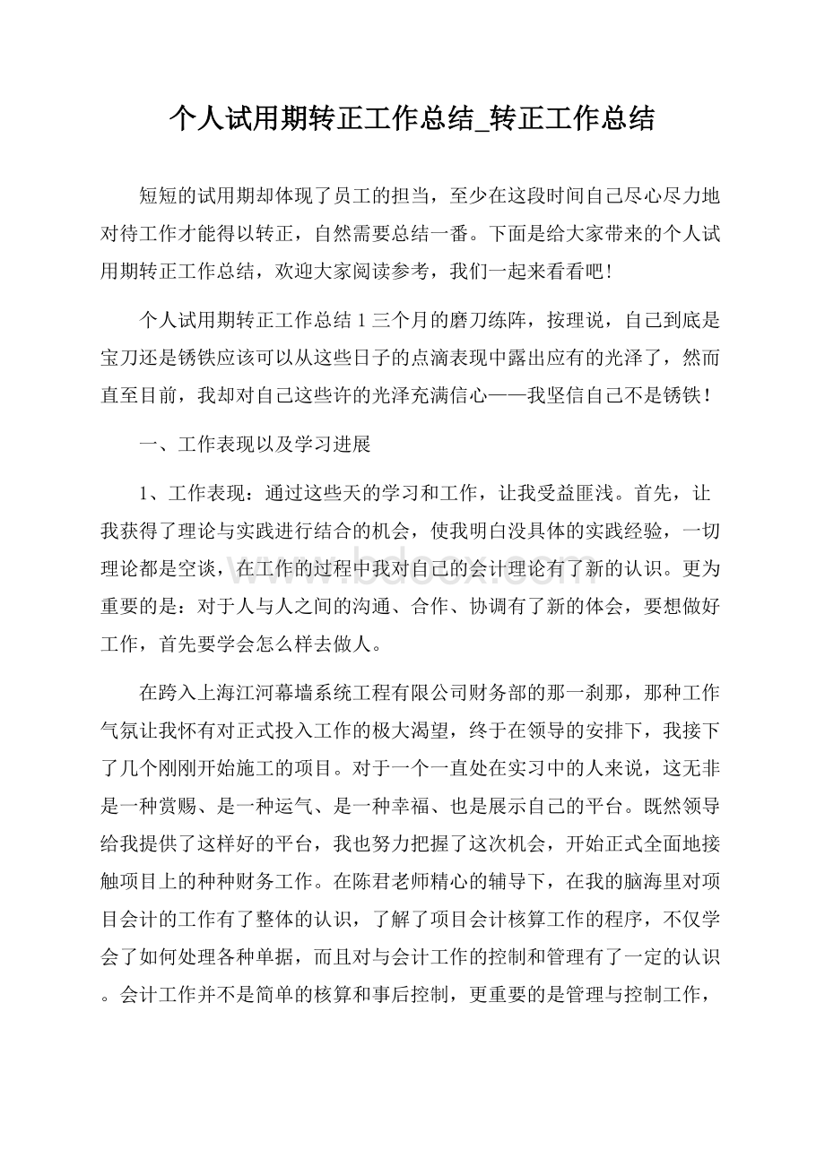 个人试用期转正工作总结_转正工作总结.docx