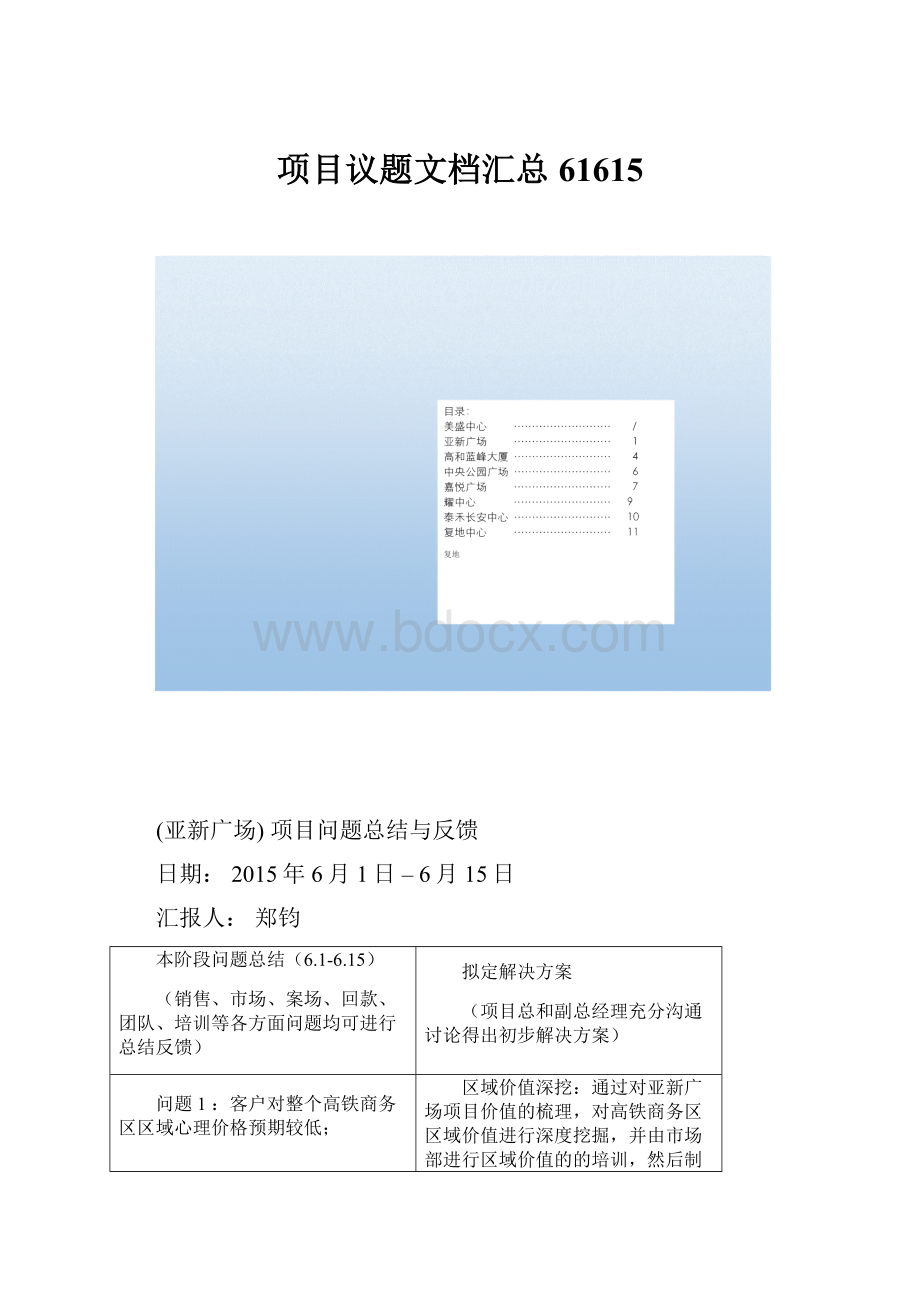 项目议题文档汇总61615.docx_第1页