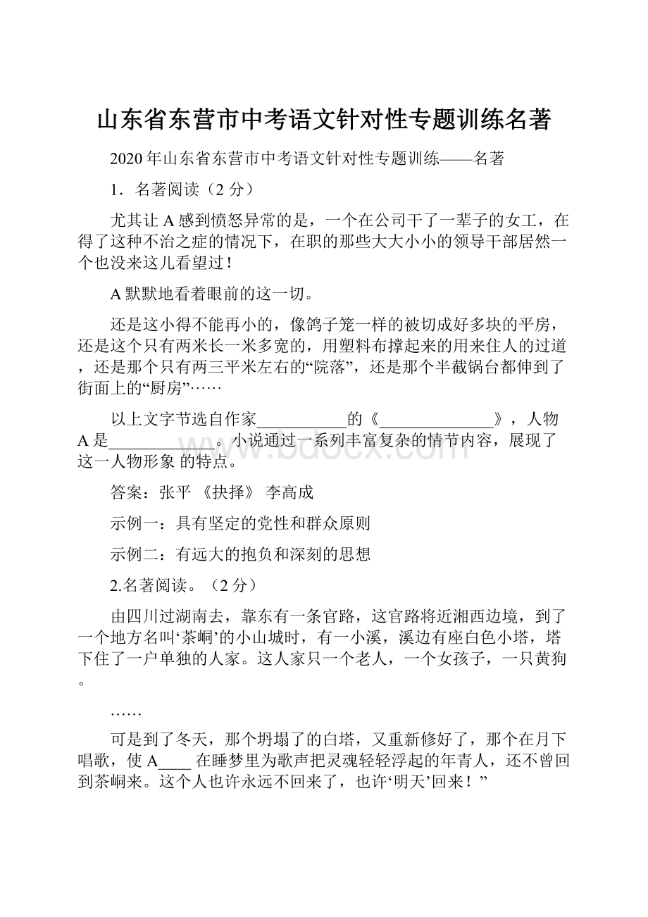 山东省东营市中考语文针对性专题训练名著.docx_第1页