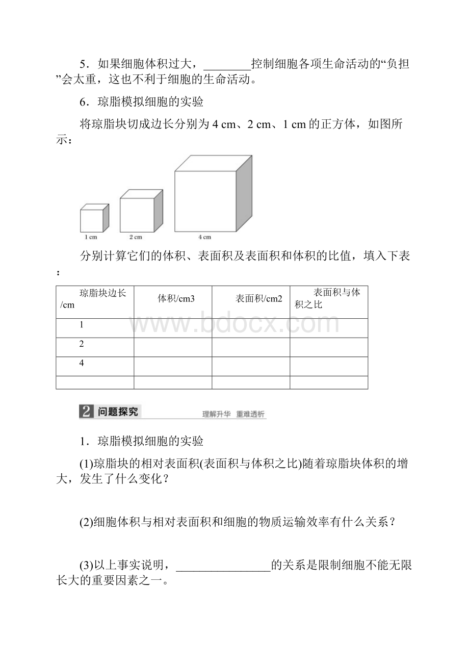 版高中生物苏教版必修一学案511+细胞周期与动物细胞的有丝分裂.docx_第2页