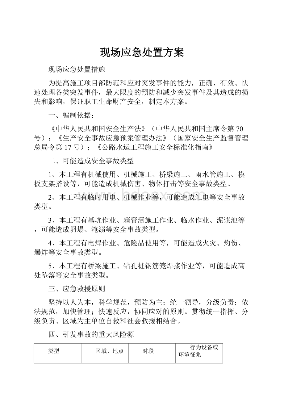 现场应急处置方案.docx