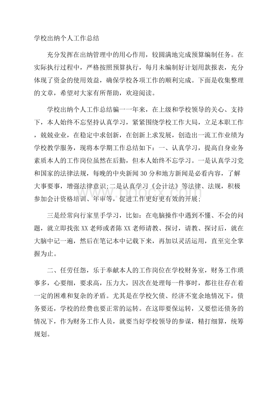 学校出纳个人工作总结.docx