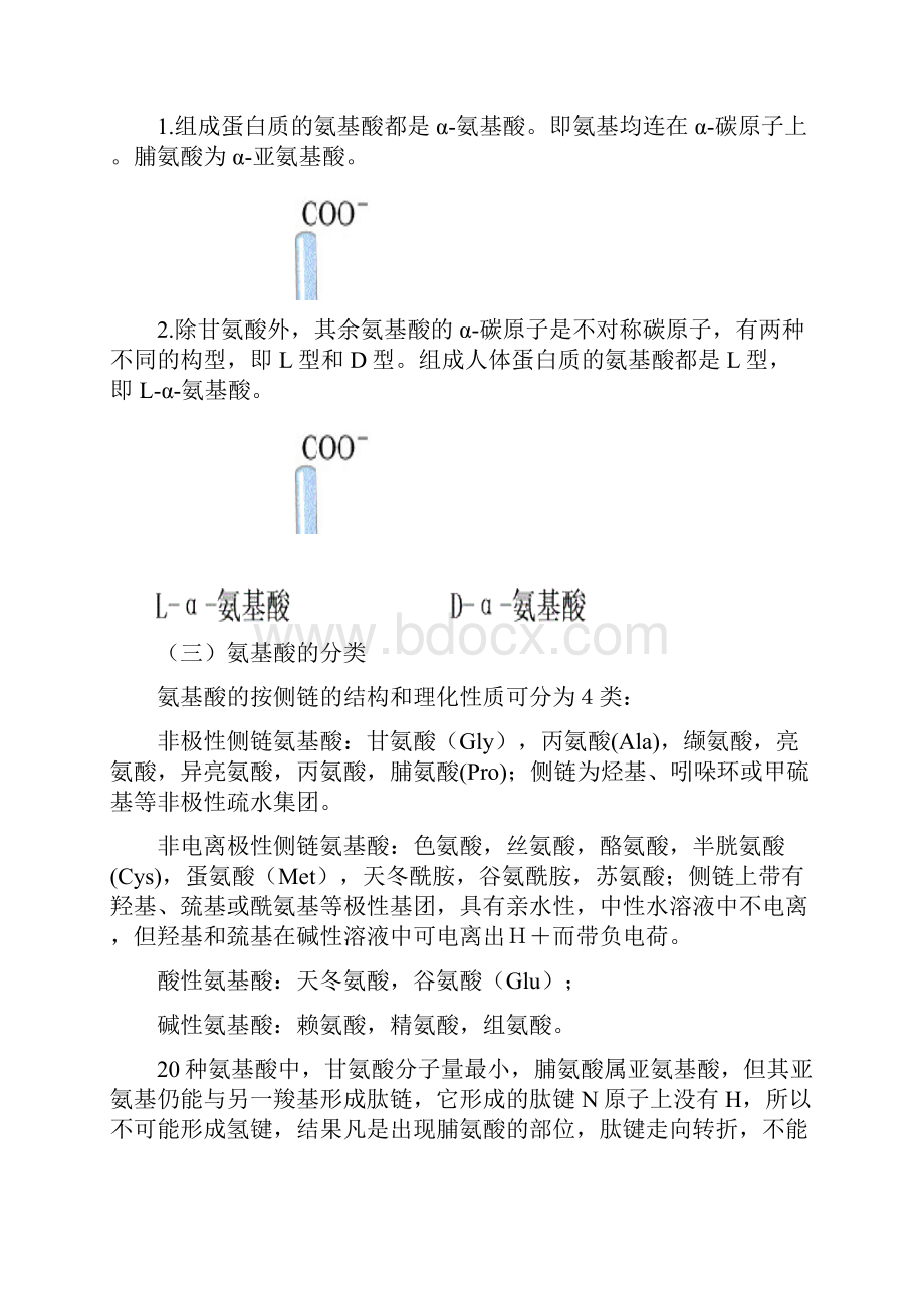 蛋白质的结构与功能.docx_第2页