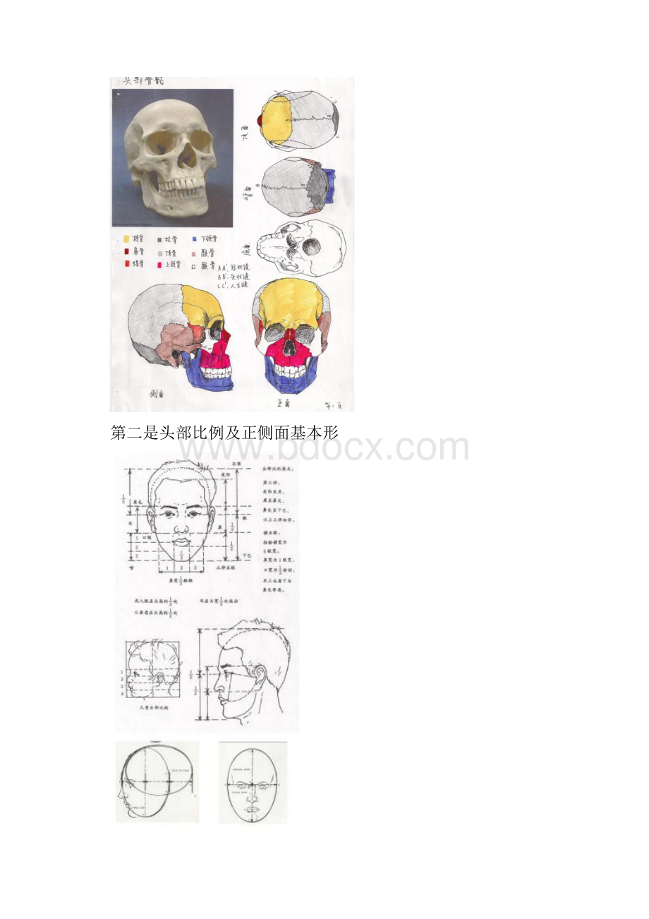 素描教程三十二石膏头像头部结构4.docx_第3页