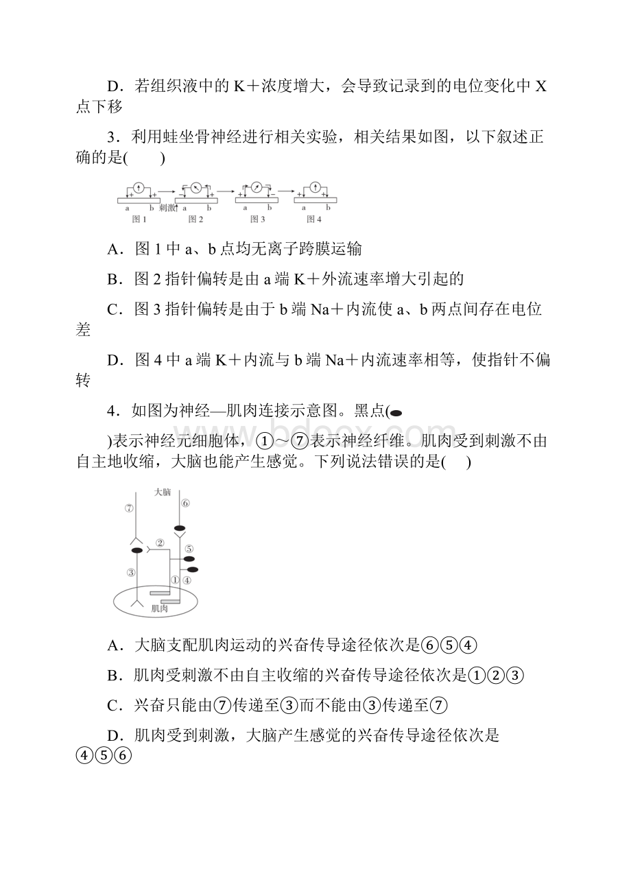 高考生物一轮复习同步锁定特训 通过神经系统的调节.docx_第2页