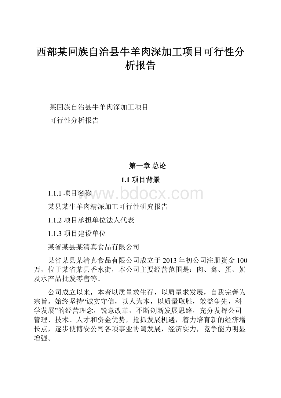 西部某回族自治县牛羊肉深加工项目可行性分析报告.docx_第1页