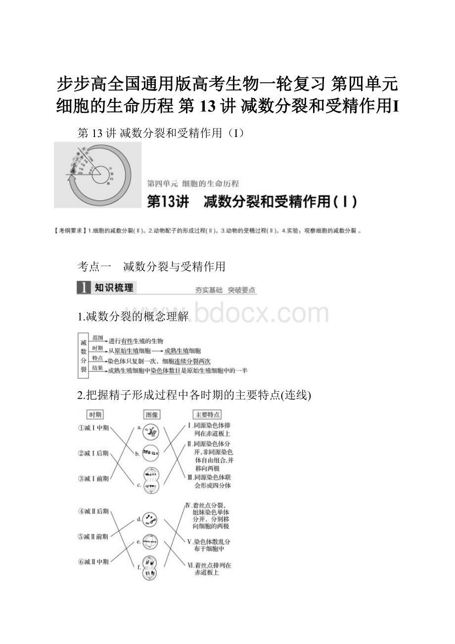步步高全国通用版高考生物一轮复习 第四单元 细胞的生命历程 第13讲 减数分裂和受精作用Ⅰ.docx